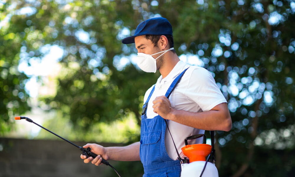 When to Call in Professional Pest Control